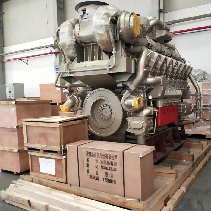 Generator de biogaz de 1000 kW