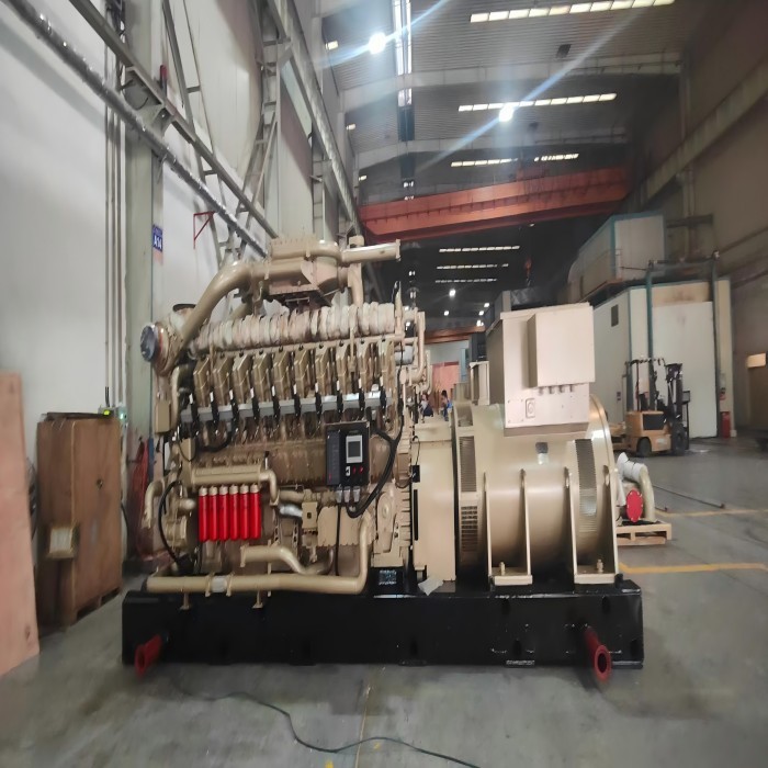 20v190 natural gas generator